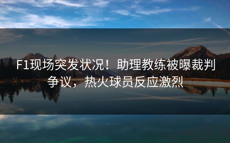F1现场突发状况！助理教练被曝裁判争议，热火球员反应激烈